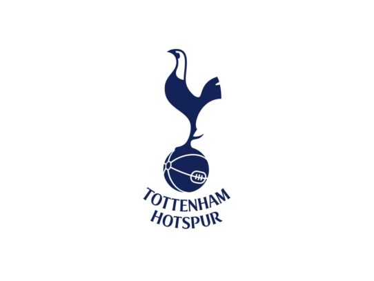 Tottenham Hotspur Color Codes