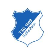 Tsg Hoffenheim Color Codes