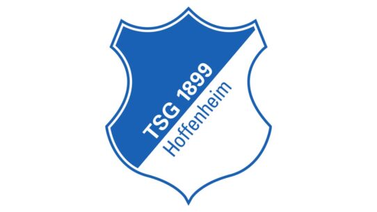 Tsg Hoffenheim Color Codes