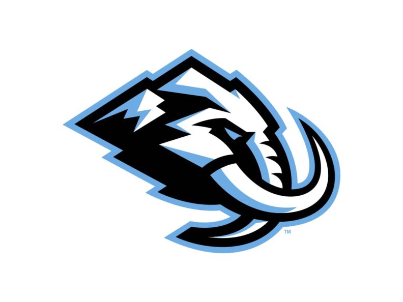 Utah Mammoth Color Codes: HEX, RGB, CMYK and Pantone - Sports Color Codes