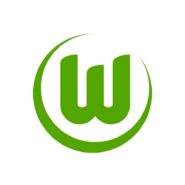 Vfl Wolfsburg Color Codes