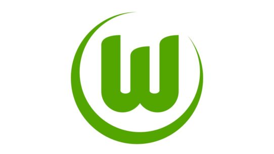 Vfl Wolfsburg Color Codes