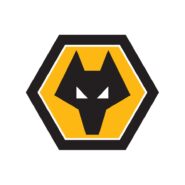 Wolverhampton Wanderers Color Codes