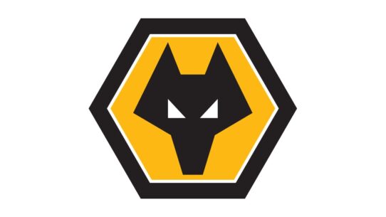 Wolverhampton Wanderers Color Codes