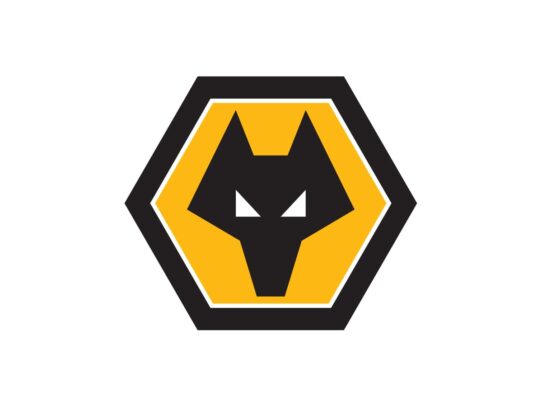 Wolverhampton Wanderers Color Codes