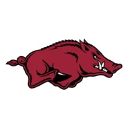 Arkansas Razorbacks official Cardinal and White colors with Black accent color codes