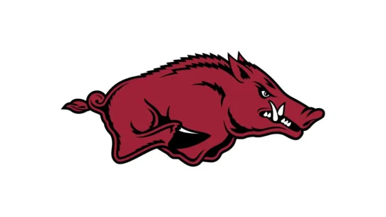 Arkansas Razorbacks official Cardinal and White colors with Black accent color codes
