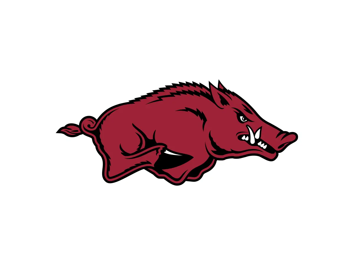 Arkansas Razorbacks official Cardinal and White colors with Black accent color codes