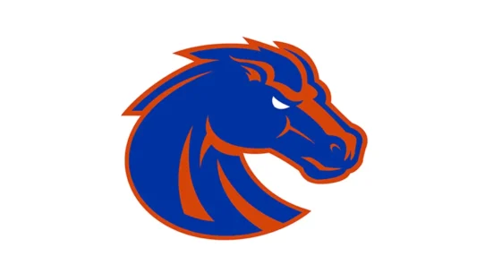 Boise State Broncos blue, orange and white color codes in HEX, RGB, CMYK and Pantone