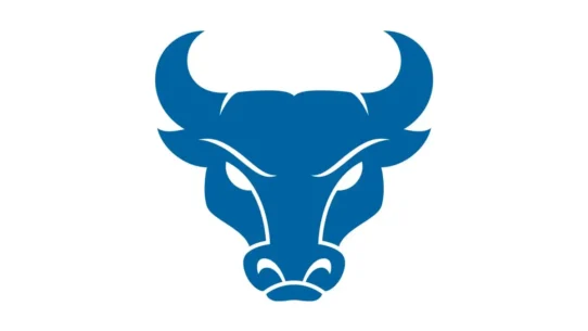 Buffalo Bulls official color codes in HEX, RGB, CMYK and Pantone