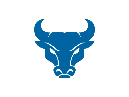 Buffalo Bulls official color codes in HEX, RGB, CMYK and Pantone