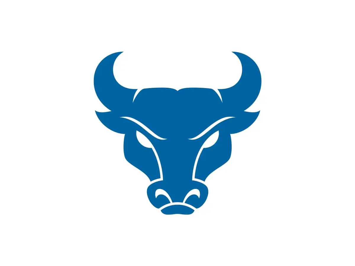 Buffalo Bulls official color codes in HEX, RGB, CMYK and Pantone