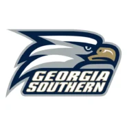 Georgia Southern Eagles official navy, white and secondary gold color codes