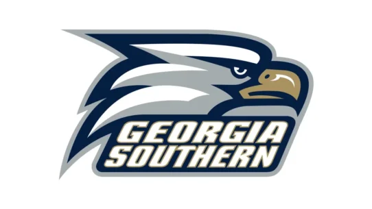 Georgia Southern Eagles official navy, white and secondary gold color codes