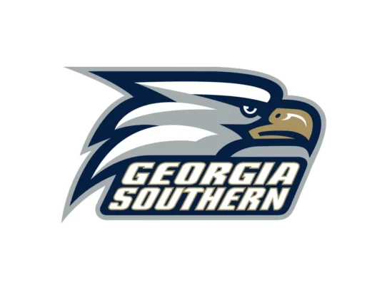 Georgia Southern Eagles official navy, white and secondary gold color codes