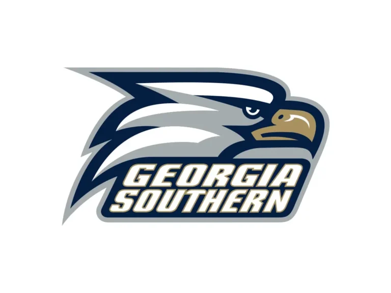 Georgia Southern Eagles official navy, white and secondary gold color codes