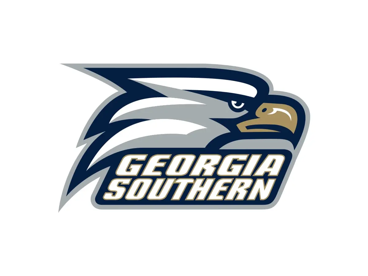 Georgia Southern Eagles official navy, white and secondary gold color codes