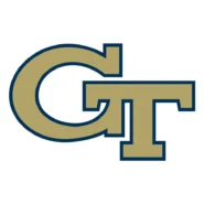 Georgia Tech Yellow Jackets Tech Gold, White and Navy Blue color codes
