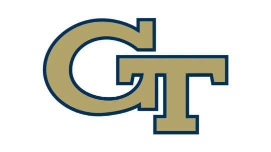 Georgia Tech Yellow Jackets Tech Gold, White and Navy Blue color codes
