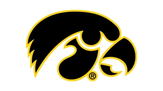 Iowa Hawkeyes black and gold color codes with HEX, RGB, CMYK and Pantone values