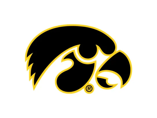 Iowa Hawkeyes black and gold color codes with HEX, RGB, CMYK and Pantone values