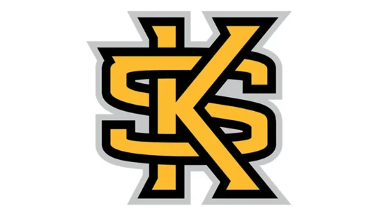 Kennesaw State Owls black, gold and white color codes