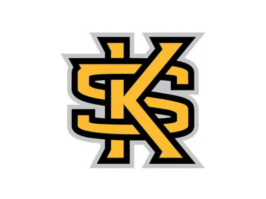 Kennesaw State Owls black, gold and white color codes