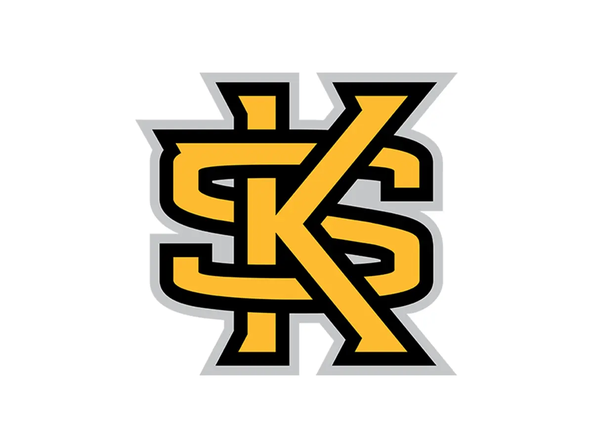 Kennesaw State Owls black, gold and white color codes
