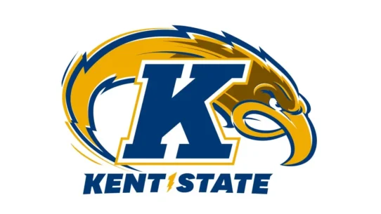 Kent State Golden Flashes blue and gold color codes with HEX, RGB, CMYK and Pantone values