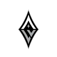 Las Vegas Aces silver, black and white color codes