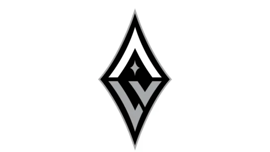 Las Vegas Aces silver, black and white color codes