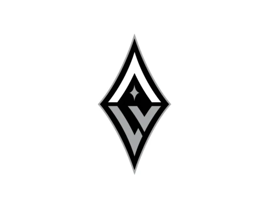 Las Vegas Aces silver, black and white color codes