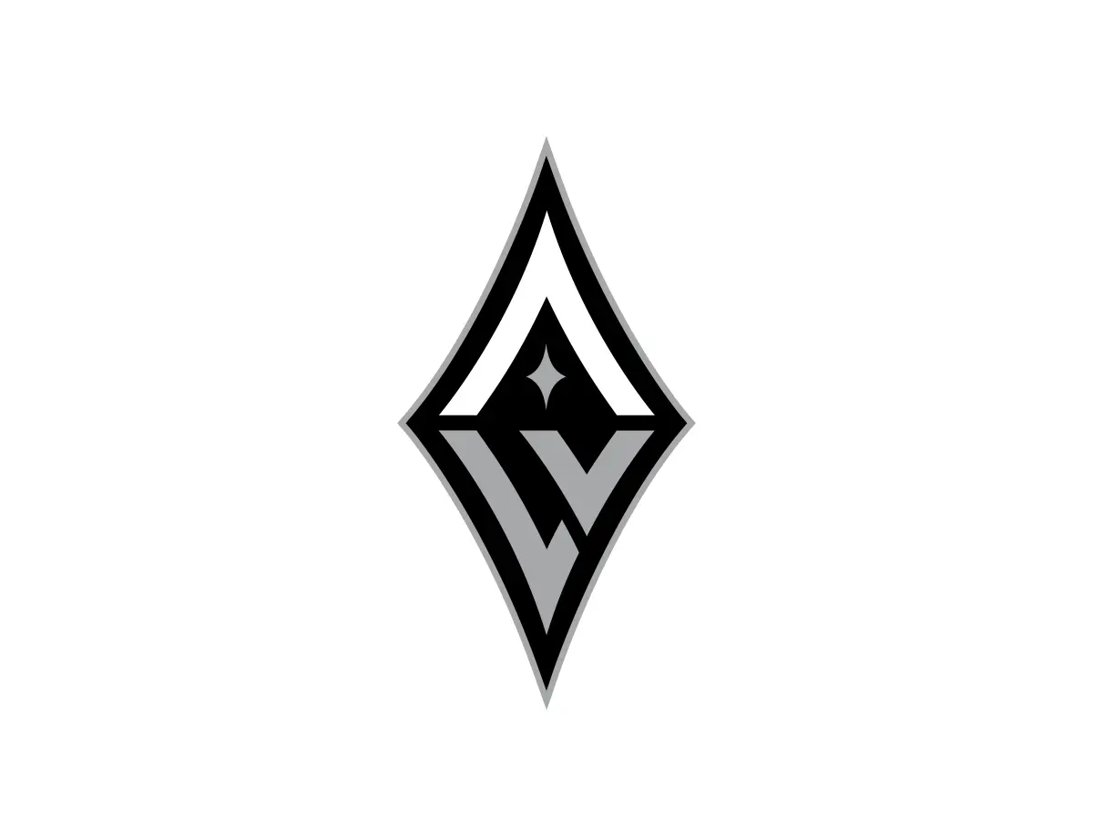 Las Vegas Aces silver, black and white color codes
