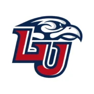 Liberty Flames red, navy and white official color codes