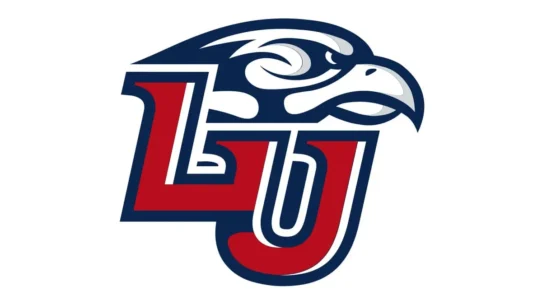 Liberty Flames red, navy and white official color codes