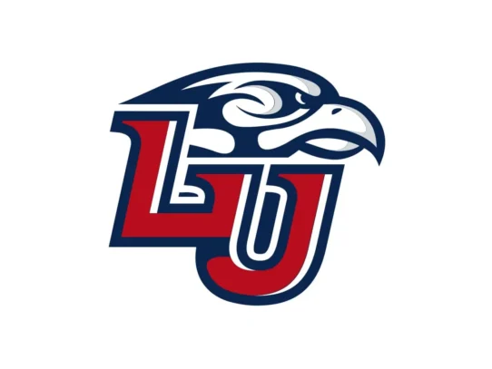 Liberty Flames red, navy and white official color codes