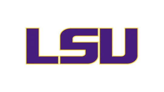 LSU Tigers purple and gold color codes with HEX RGB CMYK and Pantone values