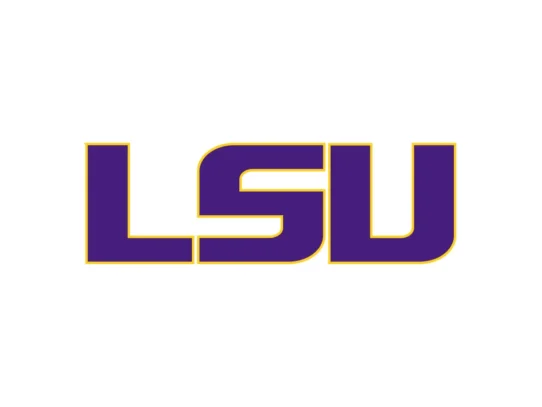 LSU Tigers purple and gold color codes with HEX RGB CMYK and Pantone values