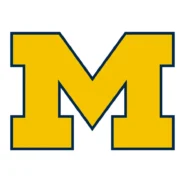 Michigan Wolverines maize and blue color palette with HEX, RGB, CMYK and Pantone codes