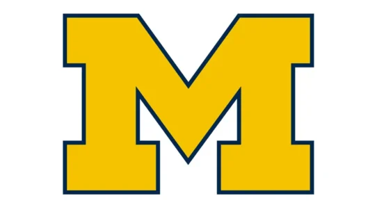 Michigan Wolverines maize and blue color palette with HEX, RGB, CMYK and Pantone codes
