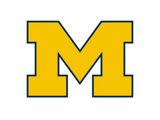 Michigan Wolverines maize and blue color palette with HEX, RGB, CMYK and Pantone codes