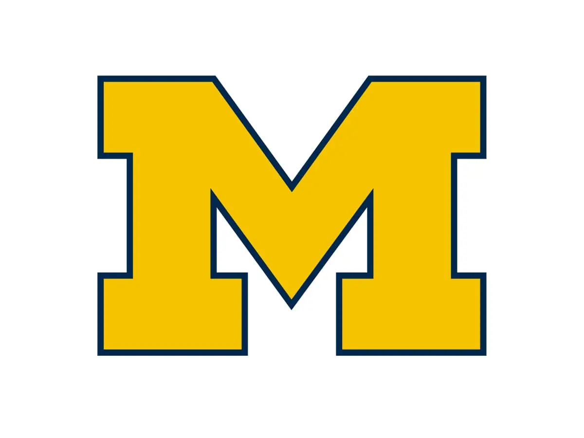 Michigan Wolverines maize and blue color palette with HEX, RGB, CMYK and Pantone codes