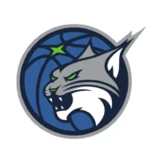 Minnesota Lynx color codes for Midnight Blue, Lake Blue, Aurora Green, and Moonlight Grey