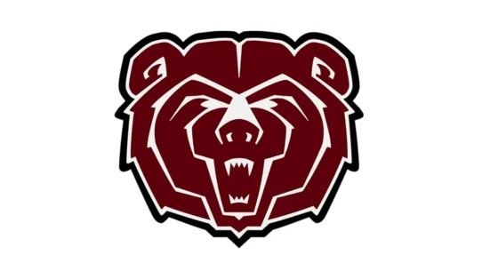 Missouri State Bears maroon, black and white official color codes