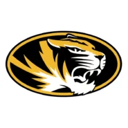 Missouri Tigers official black, gold, anthracite and white color codes