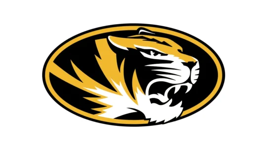 Missouri Tigers official black, gold, anthracite and white color codes