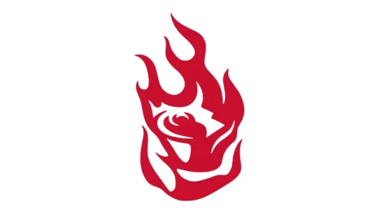 Portland Fire official team colors: Fire Red, Brown, Blue and Pink