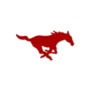 SMU Mustangs official red, blue and approved white color codes