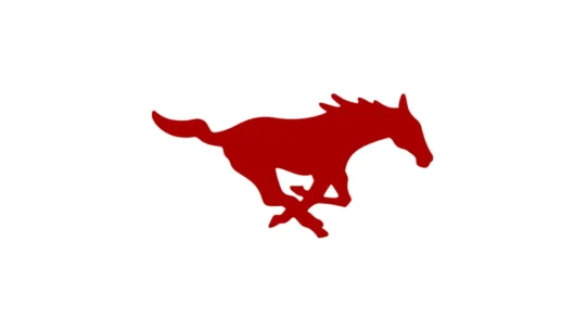 SMU Mustangs official red, blue and approved white color codes