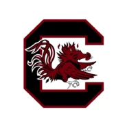 South Carolina Gamecocks Garnet, Black and White color codes